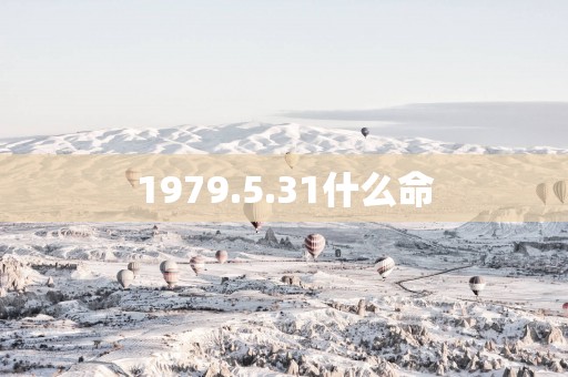1979.5.31什么命