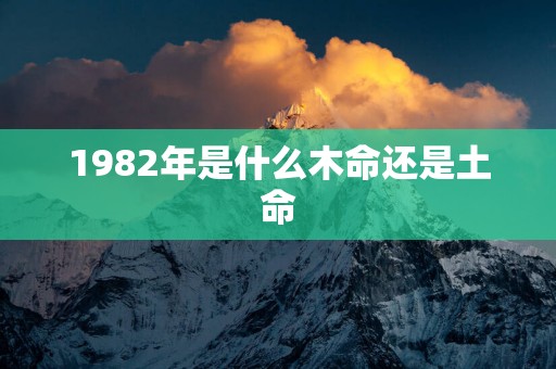 1982年是什么木命还是土命 1982年是什么木命还是土命