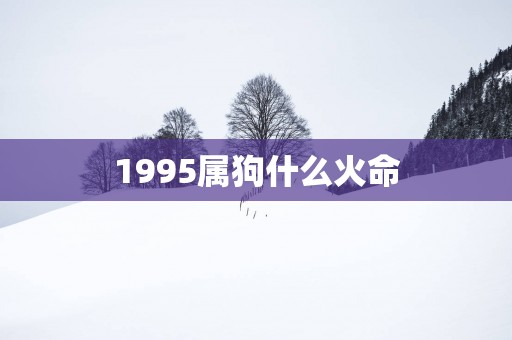 1995属狗什么火命