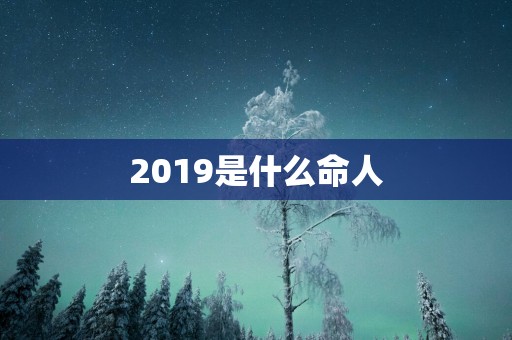 2019是什么命人
