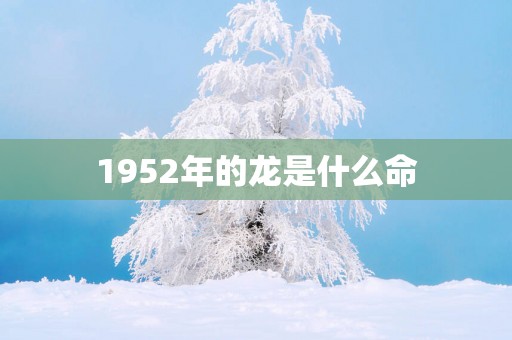 1952年的龙是什么命