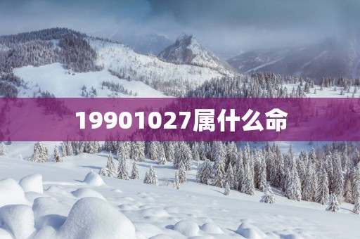 19901027属什么命