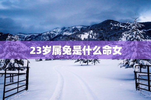 23岁属兔是什么命女