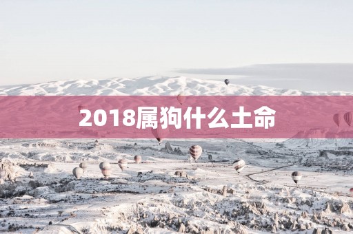 2018属狗什么土命