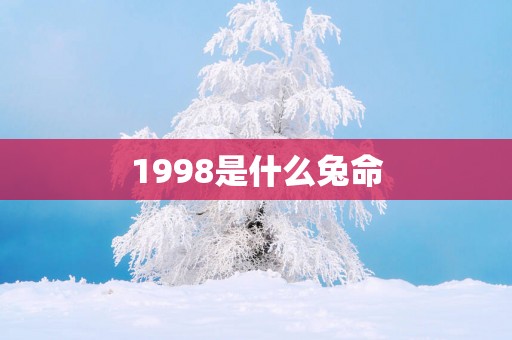 1998是什么兔命