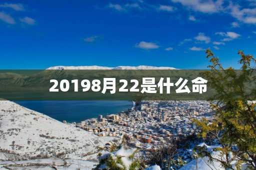 20198月22是什么命