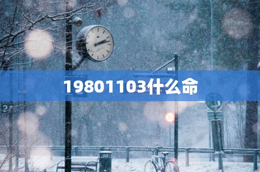 19801103什么命