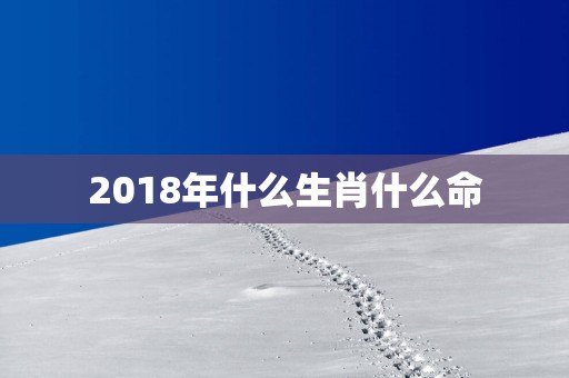 2018年什么生肖什么命