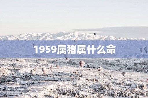 1959属猪属什么命