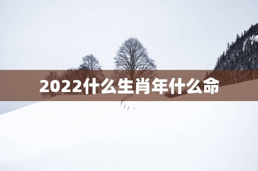 2025什么生肖年什么命