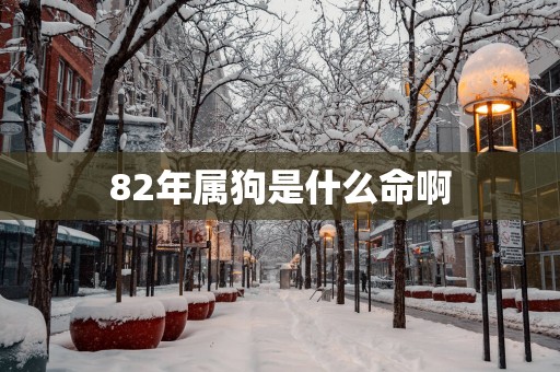 82年属狗是什么命啊