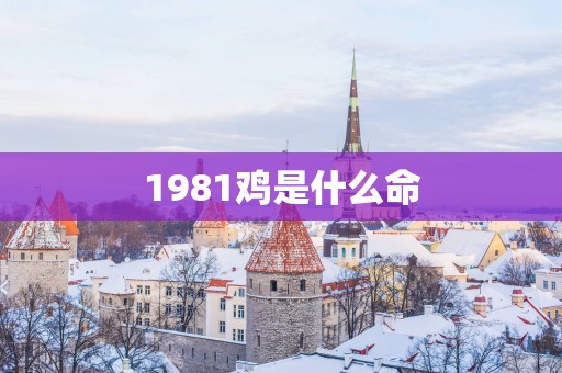 1981鸡是什么命