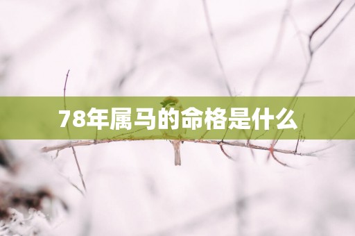 78年属马的命格是什么