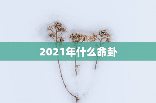 2025年什么命卦