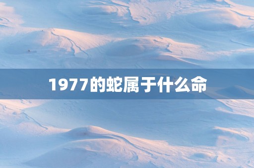 1977的蛇属于什么命