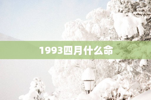 1993四月什么命