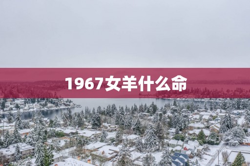 1967女羊什么命