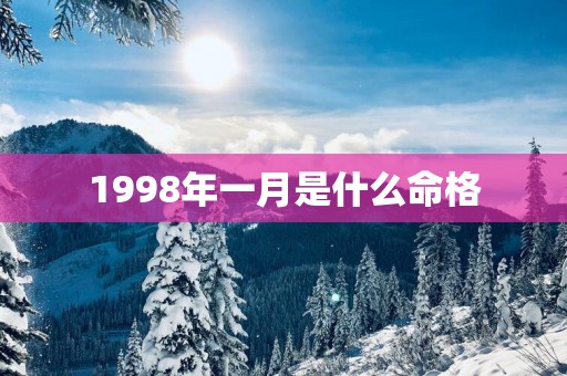 1998年一月是什么命格