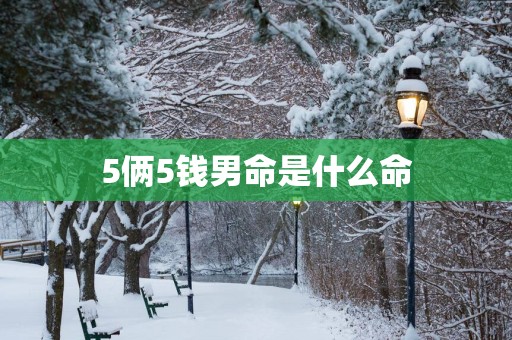 5俩5钱男命是什么命