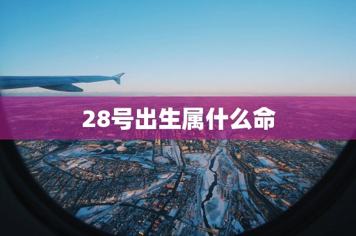 28号出生属什么命