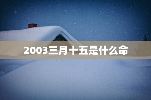 2003三月十五是什么命