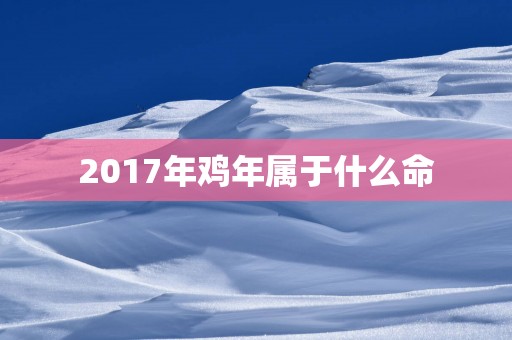 2017年鸡年属于什么命