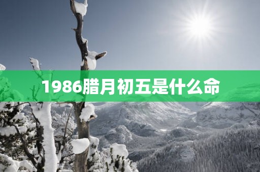 1986腊月初五是什么命