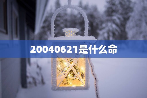 20040621是什么命