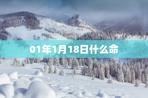 01年1月18日什么命