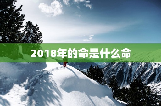 2018年的命是什么命