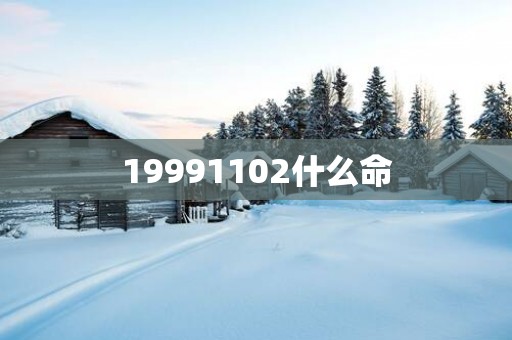 19991102什么命