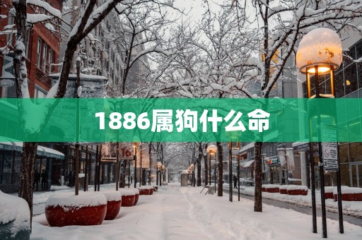 1886属狗什么命