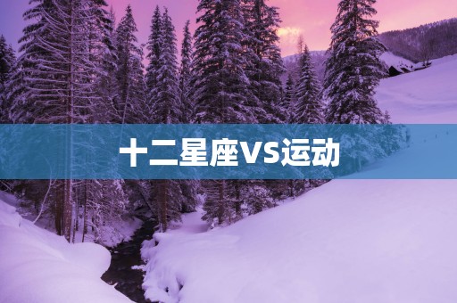 十二星座VS运动