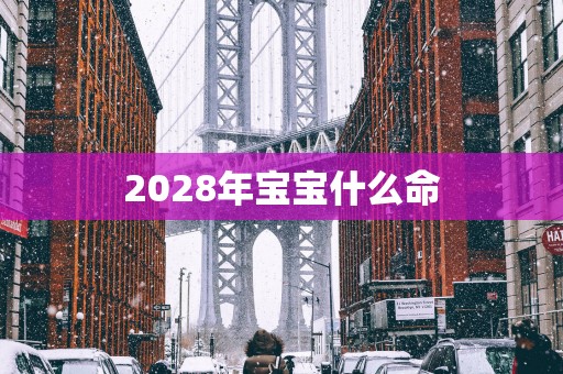 2028年宝宝什么命