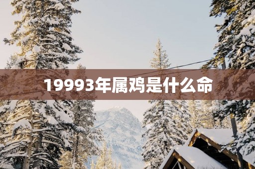 19993年属鸡是什么命