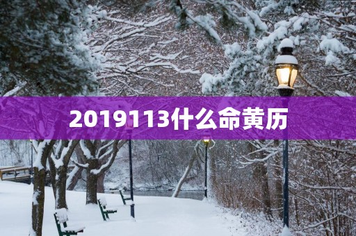 2019113什么命黄历