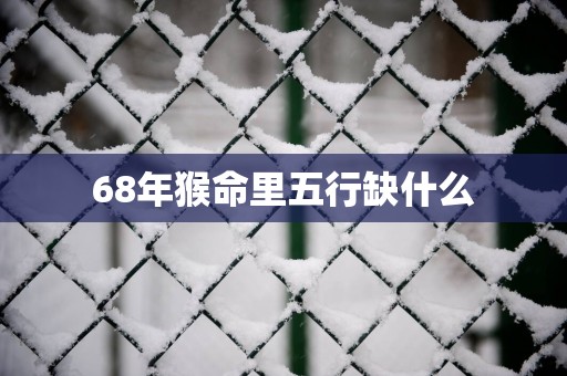 68年猴命里五行缺什么