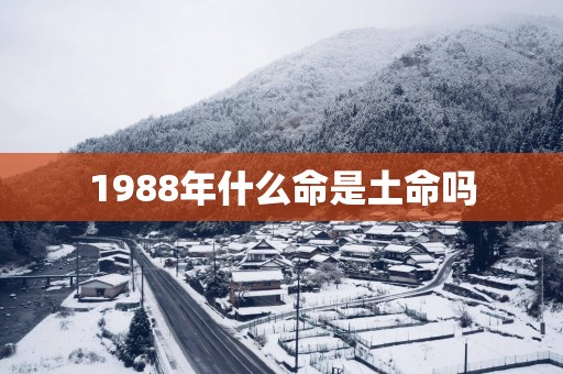 1988年什么命是土命吗