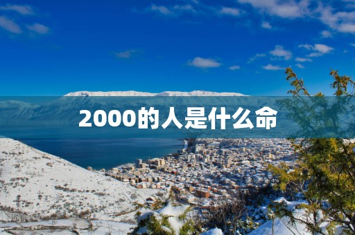2000的人是什么命