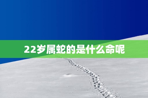 22岁属蛇的是什么命呢