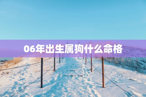 06年出生属狗什么命格