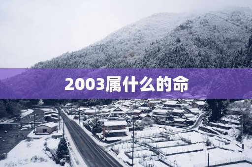 2003属什么的命