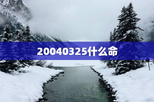 20040325什么命