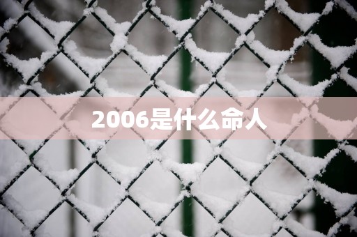 2006是什么命人