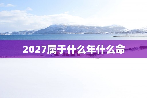 2027属于什么年什么命