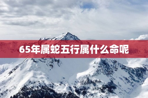 65年属蛇五行属什么命呢