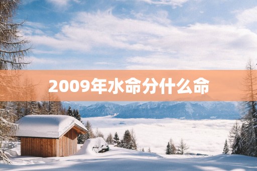 2009年水命分什么命