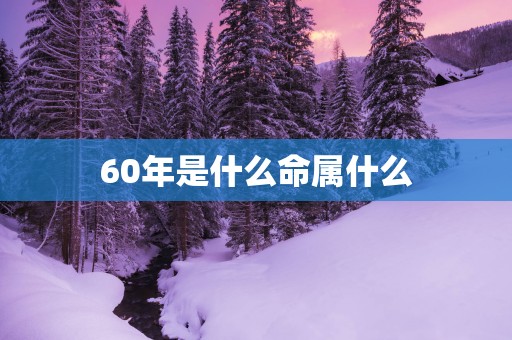 60年是什么命属什么