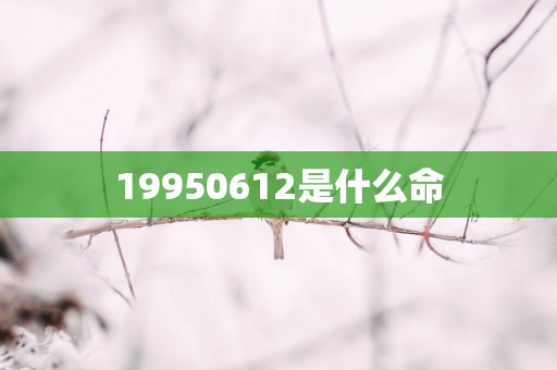 19950612是什么命