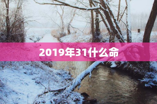 2019年31什么命